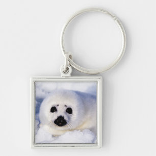 Portrait of a Harp Seal Pup Key Ring