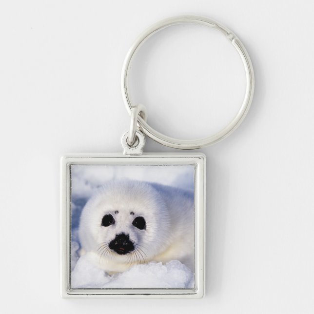 Portrait of a Harp Seal Pup Key Ring (Front)