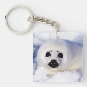 Portrait of a Harp Seal Pup Key Ring