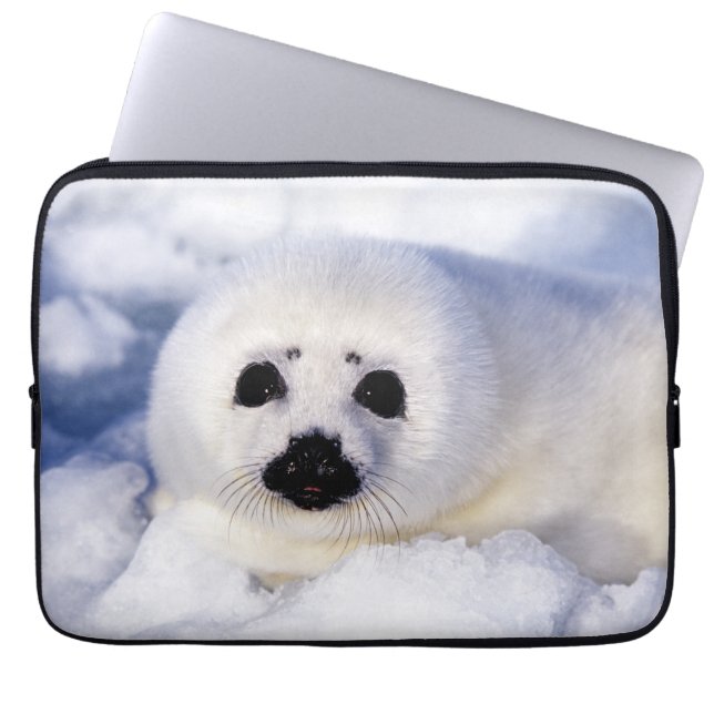 Portrait of a Harp Seal Pup Laptop Sleeve (Front)