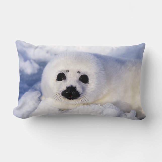 Portrait of a Harp Seal Pup Lumbar Cushion (Front)