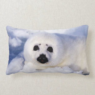 Portrait of a Harp Seal Pup Lumbar Cushion