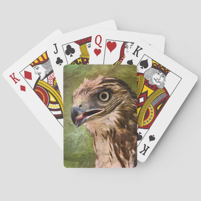 Portrait of a Hawk Playing Cards (Back)