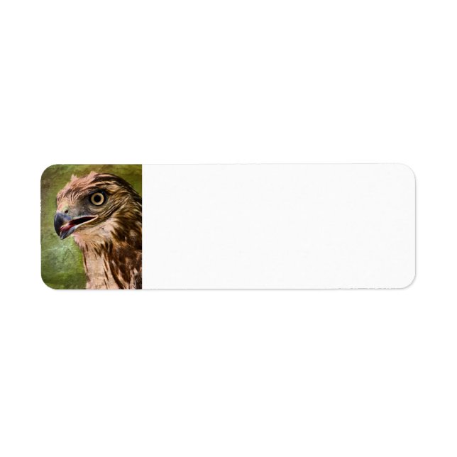 Portrait of a Hawk Return Address Label (Front)
