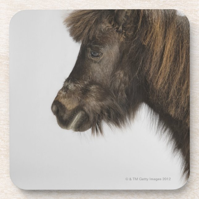 portrait of a horse coaster (Front)