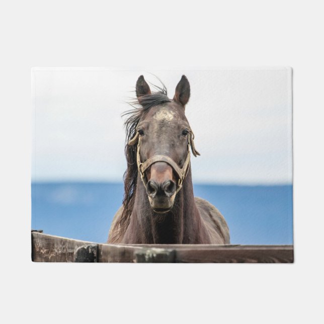 Portrait of a horse doormat (Front)