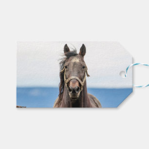 Portrait of a horse gift tags