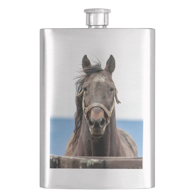 Portrait of a horse hip flask (Front)