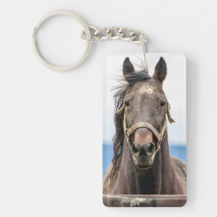 Portrait of a horse key ring