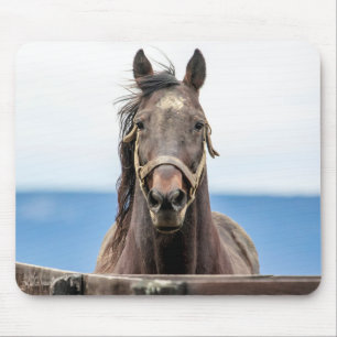Portrait of a horse mouse pad