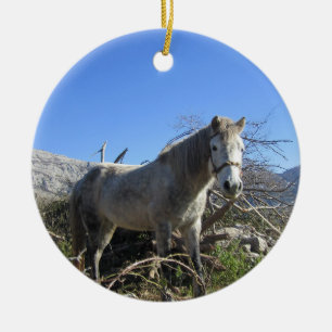 Portrait of a Horse Ornament