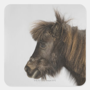 portrait of a horse square sticker
