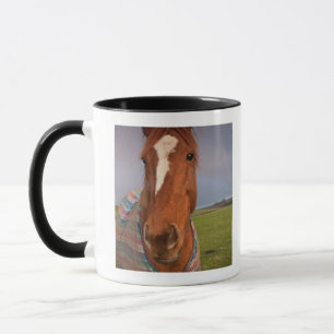 Portrait Of A Horse With A Rainbow In The Sky Mug