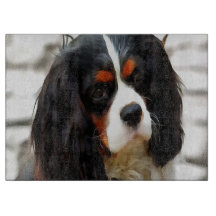 Portrait Of A King Charles Cavalier Spaniel