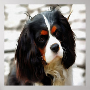 Portrait Of A King Charles Cavalier Spaniel Poster