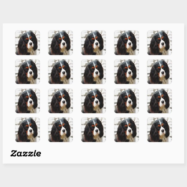 Portrait Of A King Charles Cavalier Spaniel Square Sticker (Sheet)