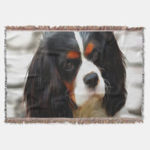 Portrait Of A King Charles Cavalier Spaniel