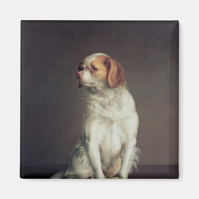 Portrait of a King Charles Spaniel Magnet (Front)