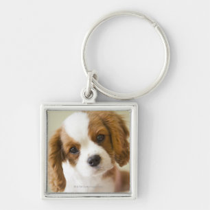Portrait of a King Charles Spaniel puppy Key Ring
