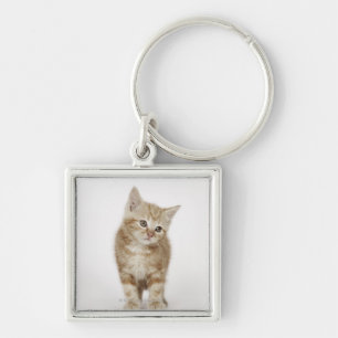 Portrait of a kitten key ring