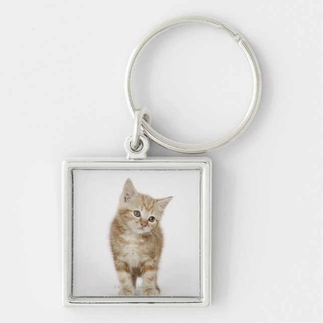 Portrait of a kitten key ring (Front)