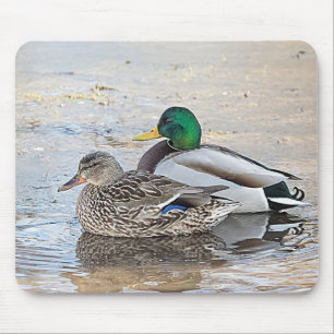 Portrait of a male and female mallard mouse pad