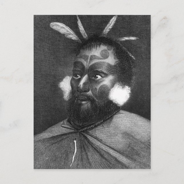 Portrait of a Man of New Zealand Postcard (Front)