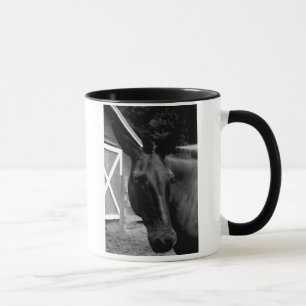 Portrait of a Mule Mug
