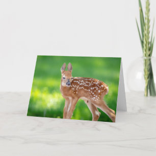 Portrait of a Newborn Fawn (white-tailed deer) Card