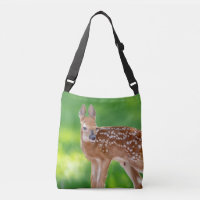 Portrait of a Newborn Fawn (white-tailed deer)
