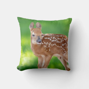 Portrait of a Newborn Fawn (white-tailed deer) Cushion