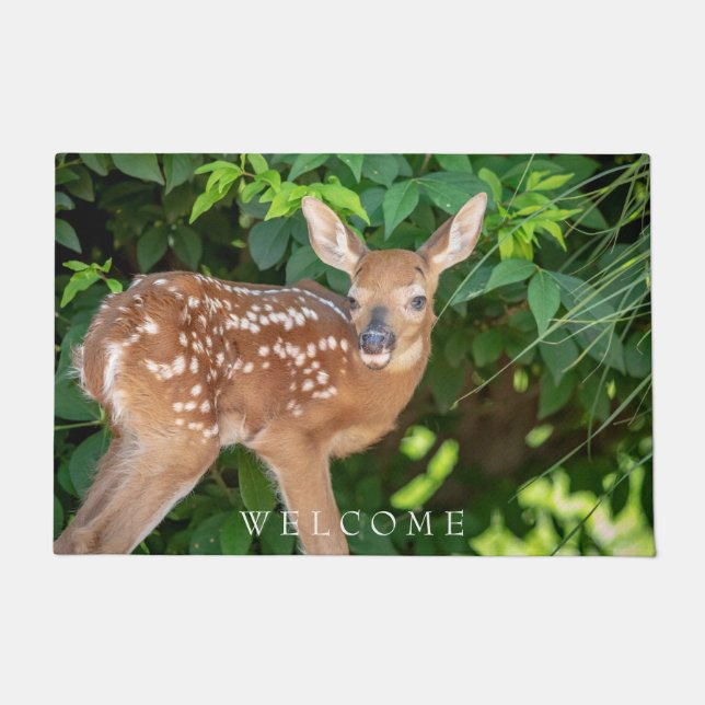 Portrait of a Newborn Fawn (white-tailed deer) Doormat (Front)