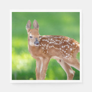 Portrait of a Newborn Fawn (white-tailed deer) Napkin