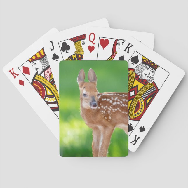 Portrait of a Newborn Fawn (white-tailed deer Playing Cards (Back)