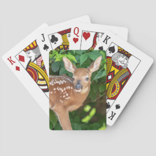 Portrait of a Newborn Fawn (white-tailed deer) Playing Cards