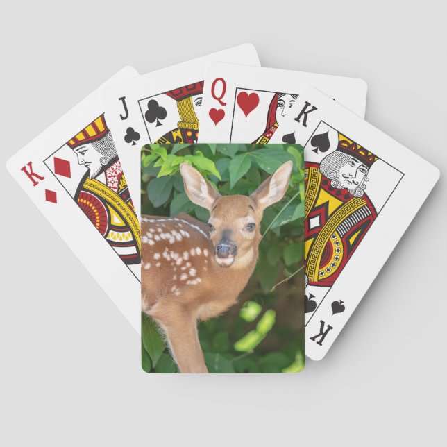 Portrait of a Newborn Fawn (white-tailed deer) Playing Cards (Back)