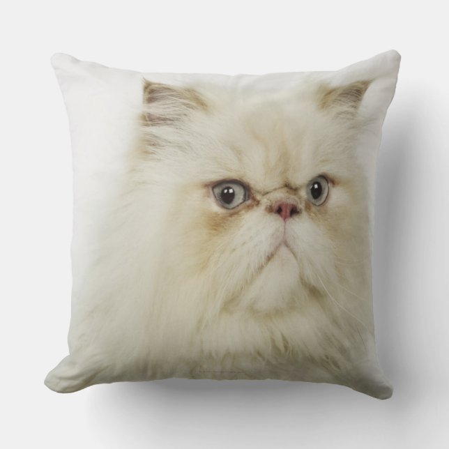 Portrait of a Persian cat Cushion (Front)