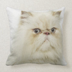 Portrait of a Persian cat Cushion