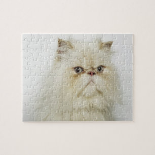 Portrait of a Persian cat Jigsaw Puzzle