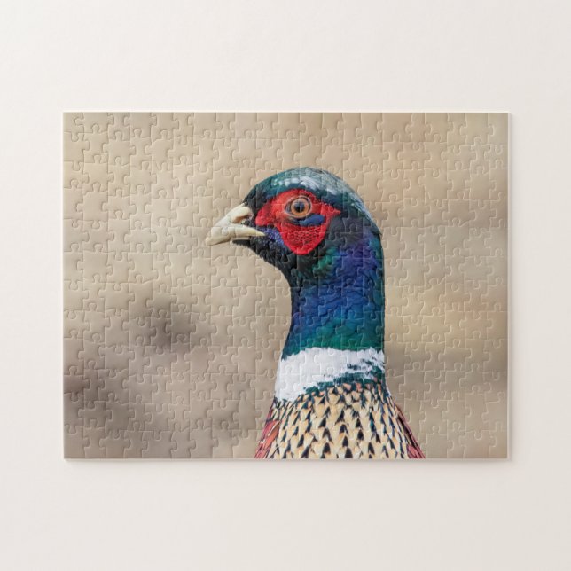 Portrait of a pheasant jigsaw puzzle (Horizontal)