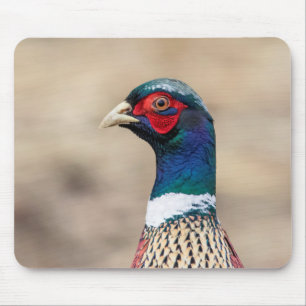 Portrait of a pheasant mouse pad