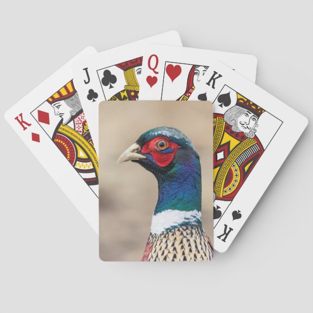 Portrait of a pheasant playing cards (Back)