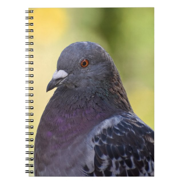 Portrait Of A Pigeon  Notebook (Front)