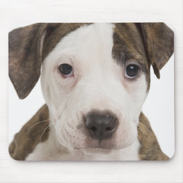 Portrait of a pitbull puppy mouse pad (Front)