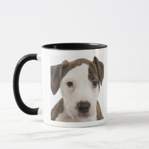 Portrait of a pitbull puppy mug
