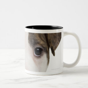 Portrait of a pitbull puppy Two-Tone coffee mug