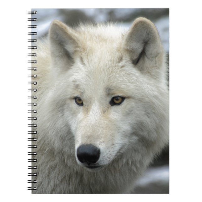 Portrait of a polar wolf notebook (Front)
