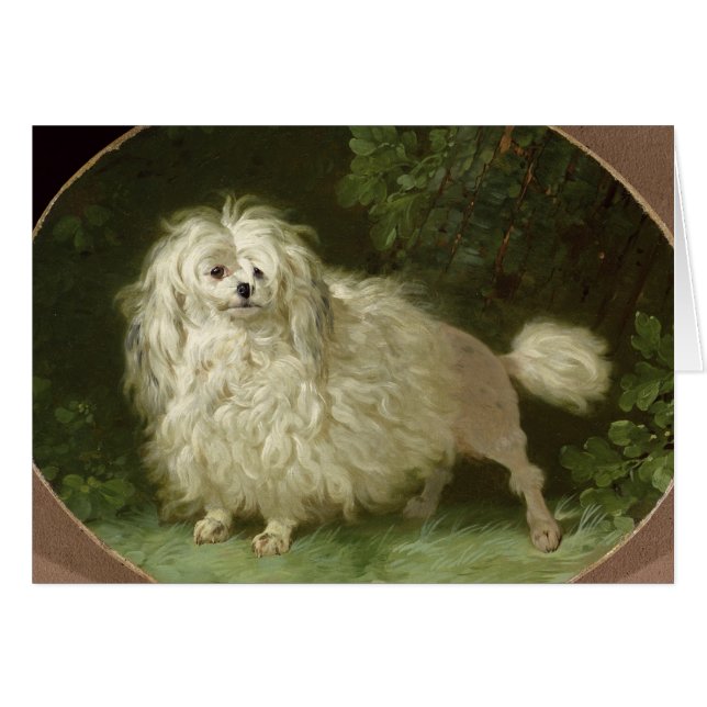 Portrait of a Poodle (Front Horizontal)