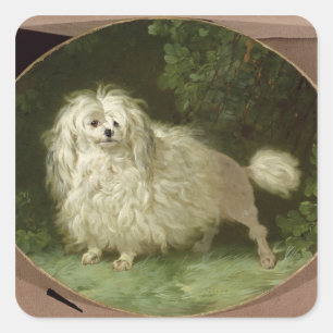 Portrait of a Poodle Square Sticker