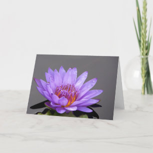 Portrait of a Purple Water Lily Card